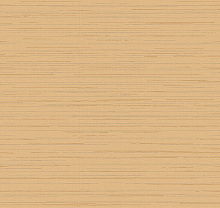 Loymina Amazonia Ins9 002